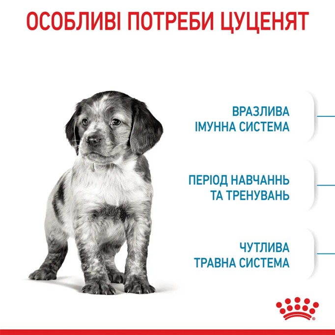 Royal Canin Medium Puppy Сухий корм для цуценят середніх порід 15 кг