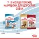 Royal Canin Medium Puppy Сухий корм для цуценят середніх порід 15 кг