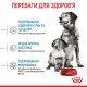 Royal Canin Medium Starter Сухий корм для цуценят середніх порід до 2-х місяців 1кг