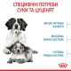 Royal Canin Medium Starter Сухий корм для цуценят середніх порід до 2-х місяців 1кг