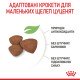 Royal Canin Mini Puppy Сухий корм для цуценят малих порід 800 г