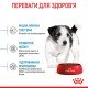 Royal Canin Mini Puppy Сухий корм для цуценят малих порід 2 кг