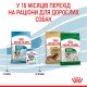 Royal Canin Mini Puppy Сухий корм для цуценят малих порід 2 кг