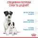 Royal Canin Mini Starter Сухий корм для цуценят малих порід до 2-х місяців 8 кг