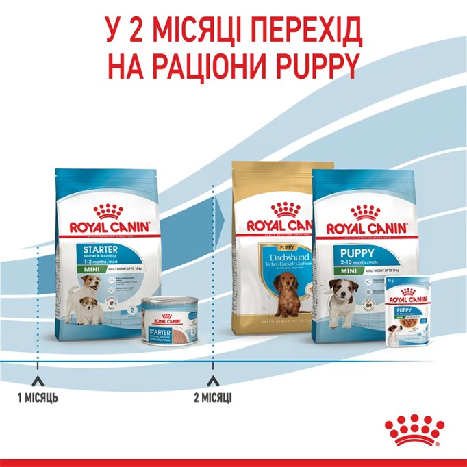 Royal Canin Mini Starter Сухий корм для цуценят малих порід до 2-х місяців 8 кг