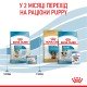 Royal Canin Mini Starter Сухий корм для цуценят малих порід до 2-х місяців 8 кг