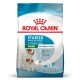 Royal Canin Mini Starter Сухий корм для цуценят малих порід до 2-х місяців 8 кг