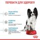 Royal Canin X-Small Puppy Сухий корм для цуценят мініатюрних порід 1.5 кг