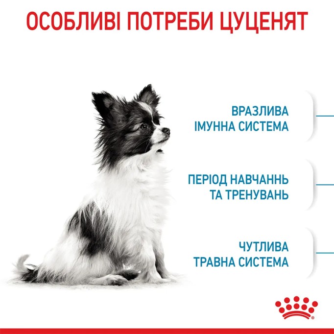 Royal Canin X-Small Puppy Сухий корм для цуценят мініатюрних порід 1.5 кг