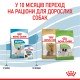 Royal Canin X-Small Puppy Сухий корм для цуценят мініатюрних порід 1.5 кг