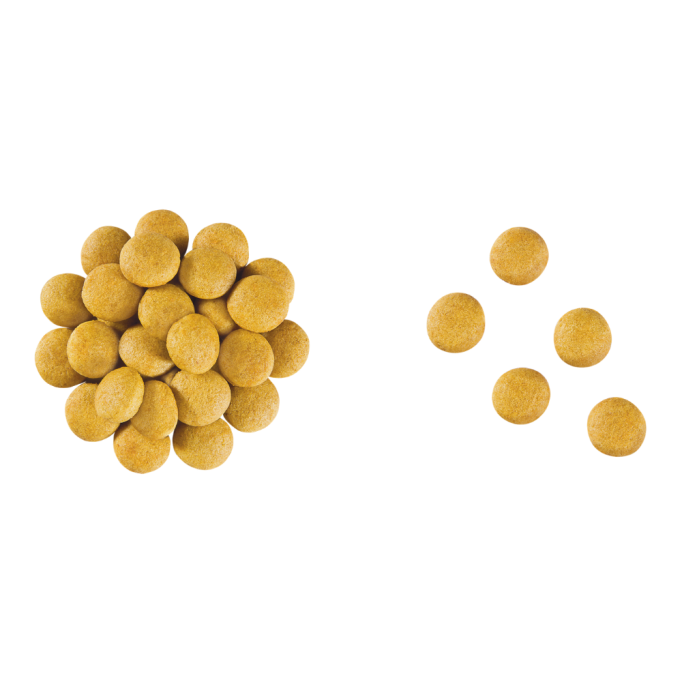Royal Canin Anallergenic Дієтичний сухий корм для дорослих собак із харчовою непереносимістю (алергією) 8кг