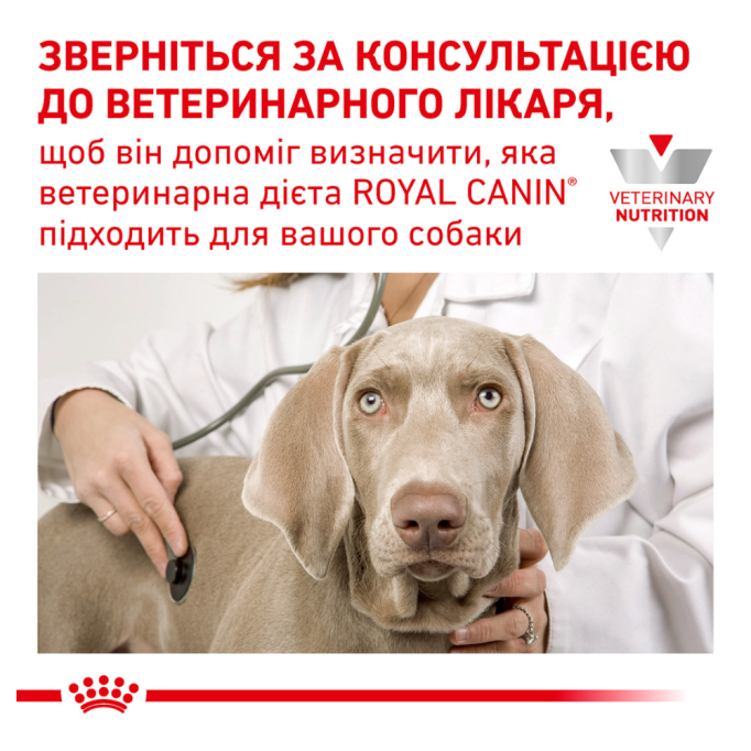 Royal Canin Anallergenic Дієтичний сухий корм для дорослих собак із харчовою непереносимістю (алергією) 8кг