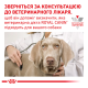 Royal Canin Anallergenic Дієтичний сухий корм для дорослих собак із харчовою непереносимістю (алергією) 8кг