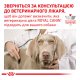 Royal Canin Anallergenic Дієтичний сухий корм для дорослих собак із харчовою непереносимістю (алергією) 3кг