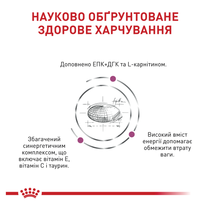 Royal Canin Cardiac Canine Дієтичний сухий корм для дорослих собак із серцевою недостатністю 2кг