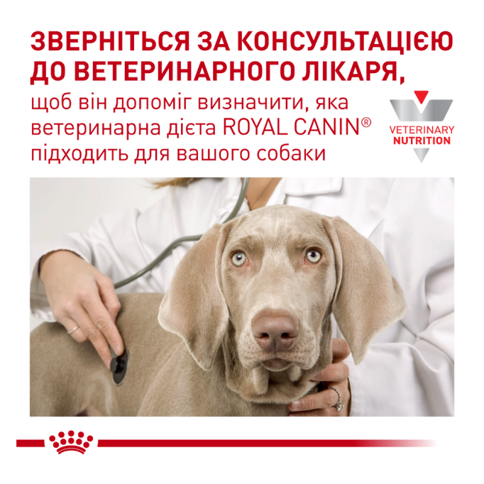 Royal Canin GastroIntestinal Puppy Дієтичний сухий корм для цуценят з порушеннями травлення 1кг