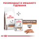 Royal Canin Gastrointestinal Low Fat Small Dogs Лікувальний сухий корм для дорослих собак дрібних порід при гострих розладах ШКТ 1,5кг