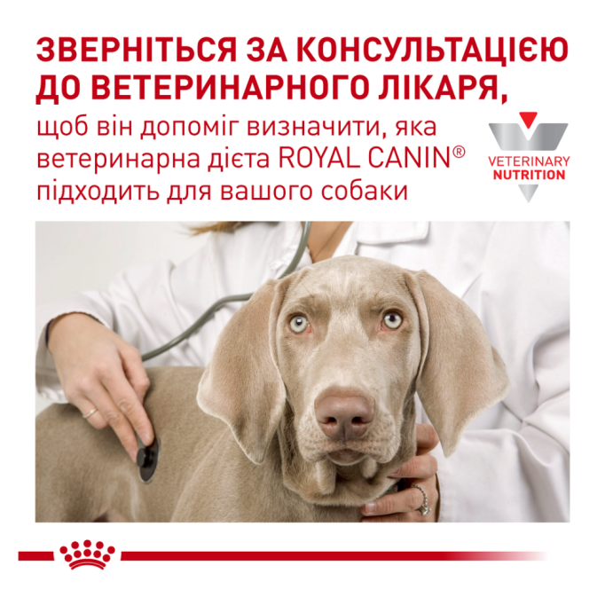 Royal Canin Gastrointestinal Low Fat Small Dogs Лікувальний сухий корм для дорослих собак дрібних порід при гострих розладах ШКТ 1,5кг