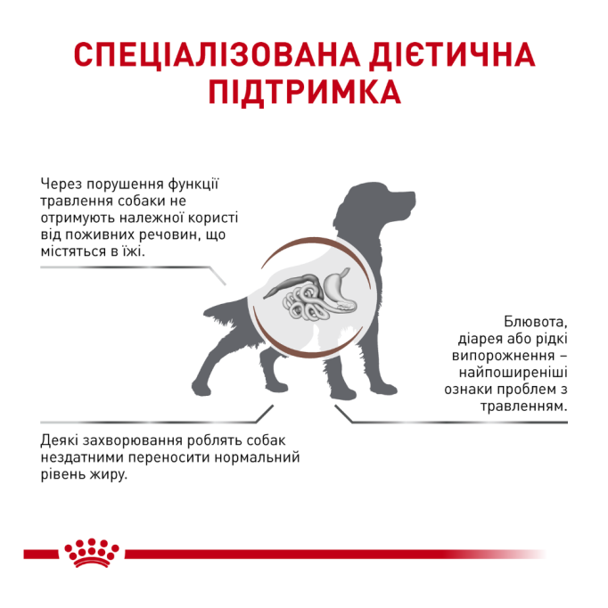 Royal Canin Gastrointestinal Low Fat Лікувальний сухий корм для дорослих собак при порушеннях травлення 6кг