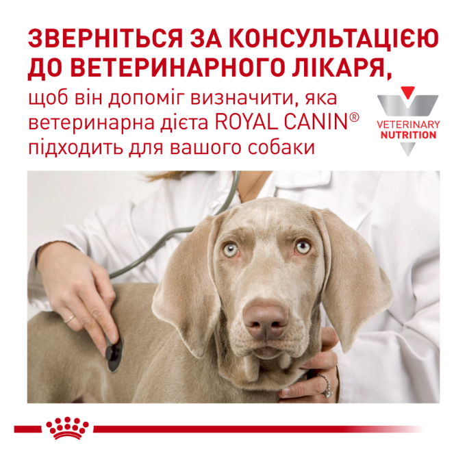 Royal Canin Gastrointestinal Лікувальний сухий корм для дорослих собак при гострих розладах ШКТ 15кг