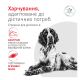 Royal Canin Glycobalance Dog Дієтичний сухий корм для контролю рівня глюкози при цукровому діабеті в дорослих собак 1,5кг
