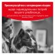 Royal Canin Glycobalance Dog Дієтичний сухий корм для контролю рівня глюкози при цукровому діабеті в дорослих собак 1,5кг