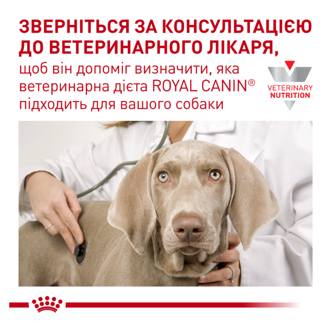 Royal Canin Hepatic Лікувальний сухий корм для дорослих собак при захворюваннях печінки 12кг