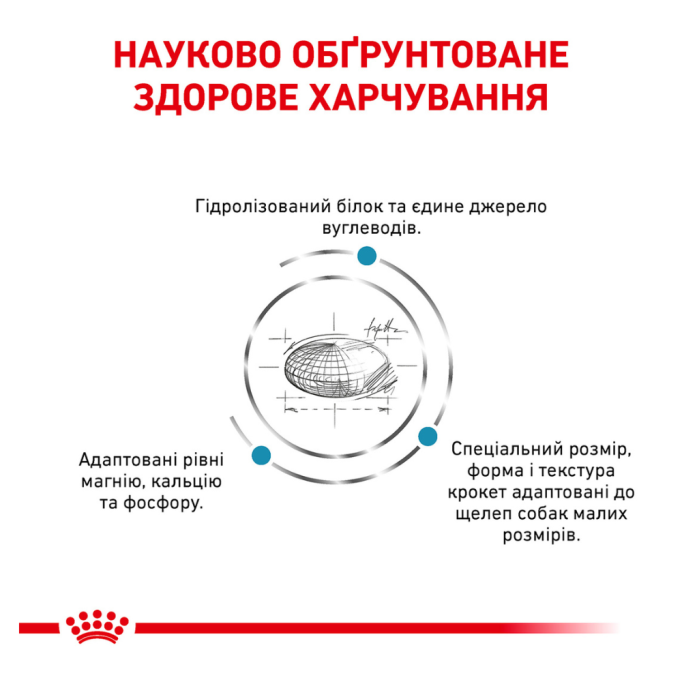 Royal Canin Hypoallergenic Small Dog Дієтичний сухий корм для дорослих собак дрібних порід з харчовою непереносимістю (алергією) 1кг