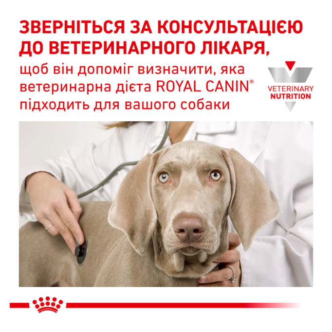 Royal Canin Hypoallergenic Small Dog Дієтичний сухий корм для дорослих собак дрібних порід з харчовою непереносимістю (алергією) 3,5кг