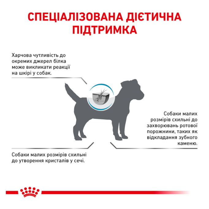 Royal Canin Hypoallergenic Small Dog Дієтичний сухий корм для дорослих собак дрібних порід з харчовою непереносимістю (алергією) 1кг