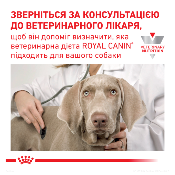 Royal Canin Hypoallergenic Дієтичний сухий корм для дорослих собак із харчовою непереносимістю (алергією) 14кг