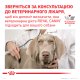 Royal Canin Hypoallergenic Дієтичний сухий корм для дорослих собак із харчовою непереносимістю (алергією) 14кг