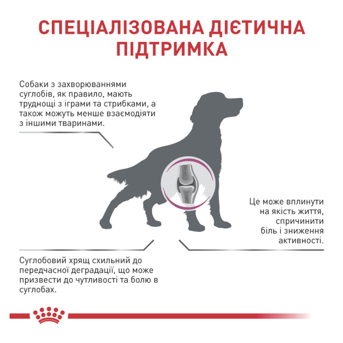 Royal Canin Mobility Support Дієтичний сухий корм для дорослих собак при захворюваннях опорно-рухового аппарату 12кг