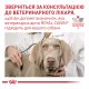 Royal Canin Mobility Support Дієтичний сухий корм для дорослих собак при захворюваннях опорно-рухового аппарату 2кг