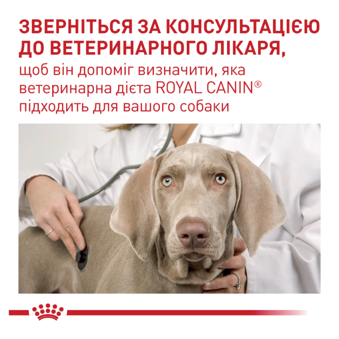 Royal Canin Neutered Adult Small Dog Дієтичний сухий корм для стерилізованих дорослих собак дрібних порід 1,5кг