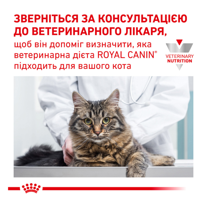 Royal Canin Recovery Дієтичний вологий корм для дорослих котів і собак у період відновлення після хвороби (паштет) 195г