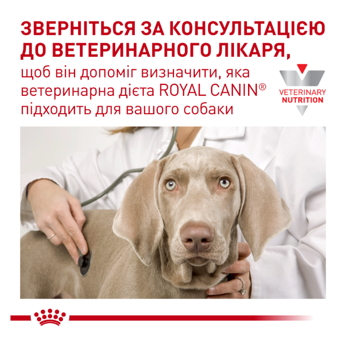 Royal Canin Recovery Дієтичний вологий корм для дорослих котів і собак у період відновлення після хвороби (паштет) 195г
