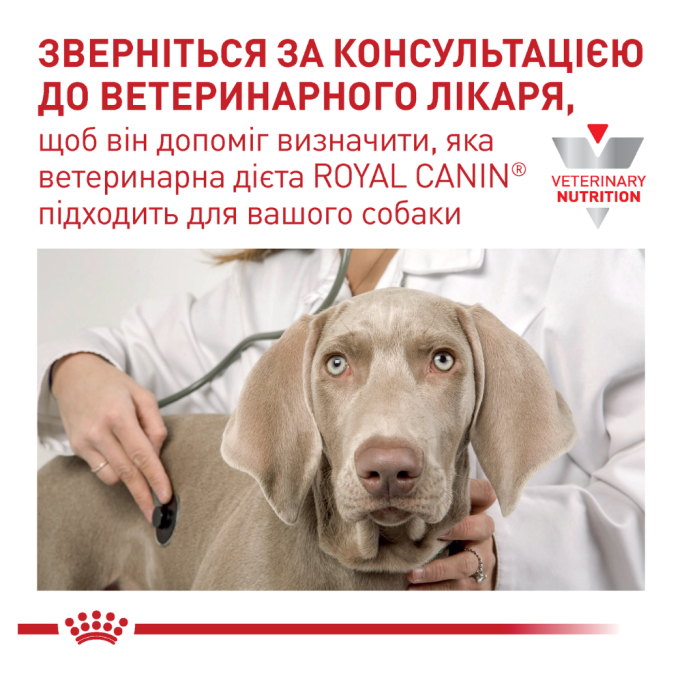 Royal Canin Renal Canine Дієтичний сухий корм для лікування ниркової недостатності у дорослих собак 14кг