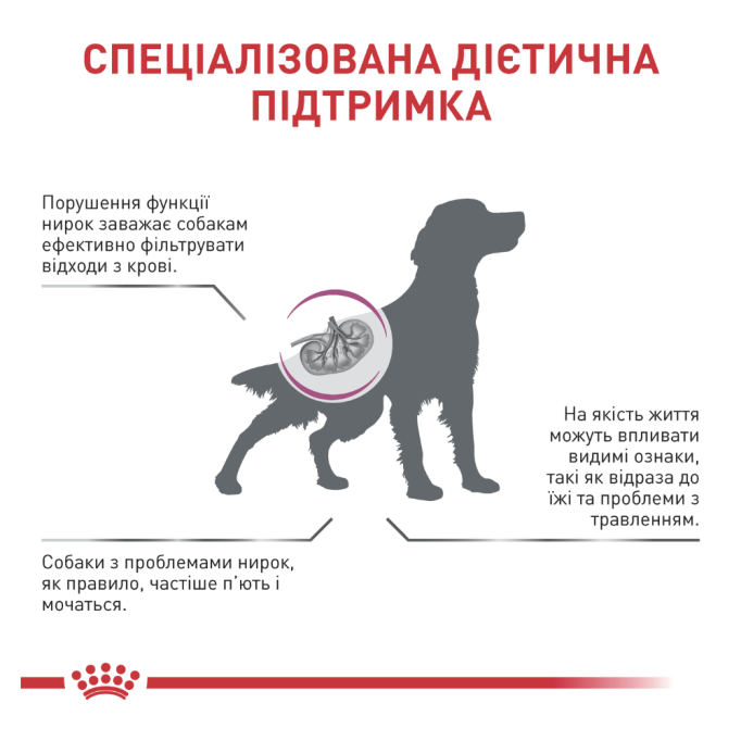 Royal Canin Renal Canine Дієтичний сухий корм для лікування ниркової недостатності у дорослих собак 14кг