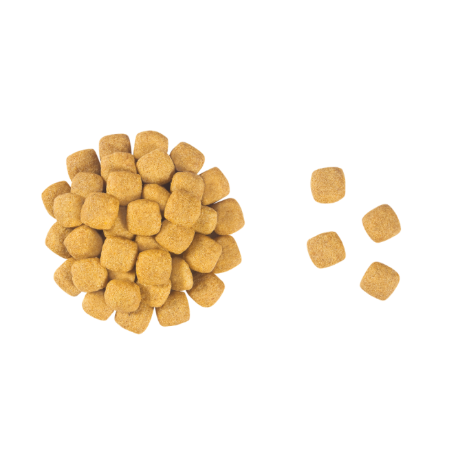 Royal Canin Urinary S/O Moderate Calorie Дієтичний сухий корм для дорослих собак при захворюваннях нижніх сечовивідних шляхів 1,5кг
