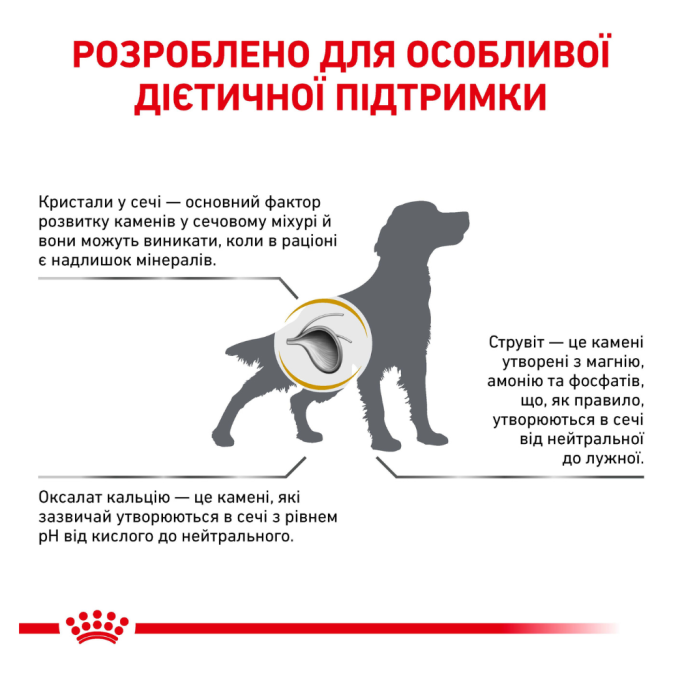 Royal Canin Urinary S/O Дієтичний сухий корм для дорослих собак із захворюваннями сечокам’яної хвороби 13кг