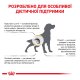 Royal Canin Urinary S/O Дієтичний сухий корм для дорослих собак із захворюваннями сечокам’яної хвороби 13кг
