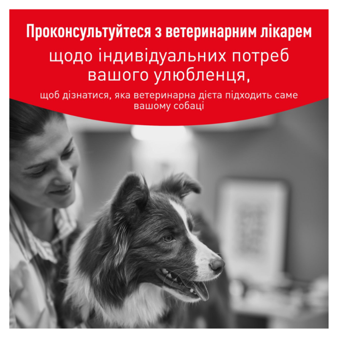 Royal Canin Glycobalance Low Carbohydrate Дієтичний вологий корм для дорослих собак для контролю рівня глюкози при цукровому діабеті (паштет) 410г