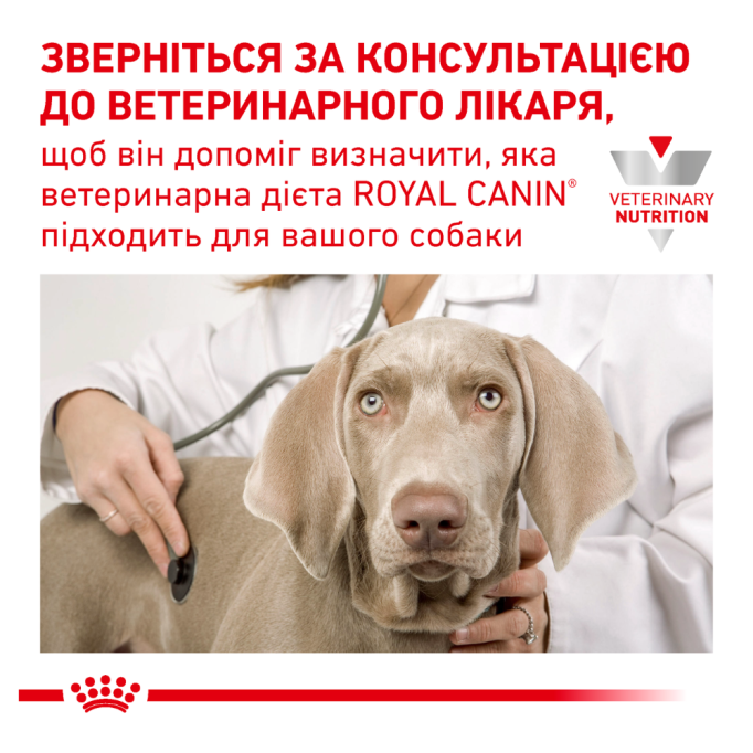 Royal Canin Sensitivity Control Chicken With Rice Дієтичний вологий корм для дорослих собак при алергічних захворюваннях (паштет) 410г