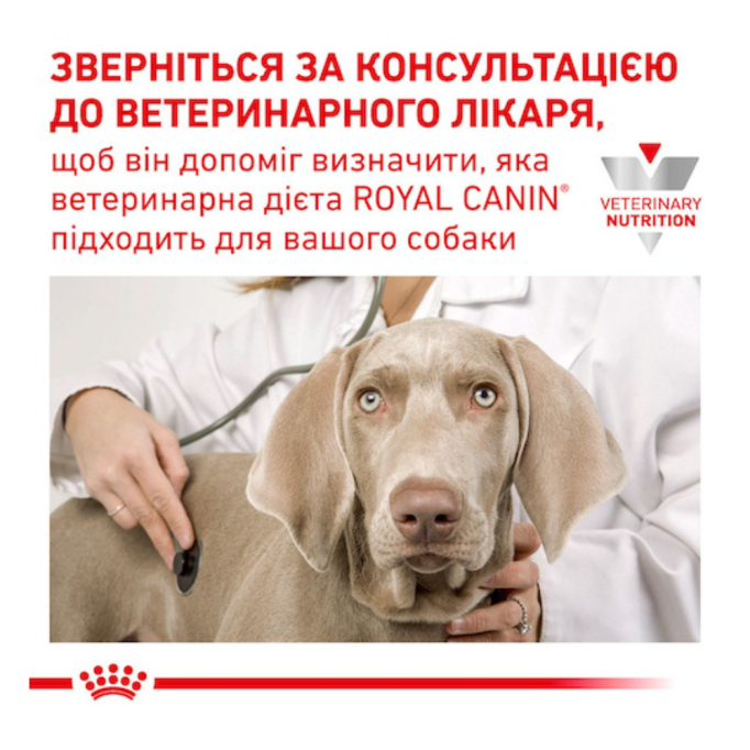 Royal Canin Gastrointestinal Дієтичний вологий корм для дорослих собак при порушеннях травлення (паштет) 400г