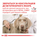 Royal Canin Gastrointestinal Дієтичний вологий корм для дорослих собак при порушеннях травлення (паштет) 400г