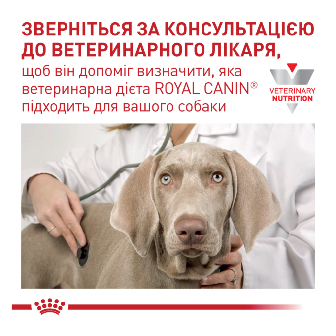 Royal Canin Renal Вологий корм для лікування ниркової недостатності у дорослих собак (паштет) 410г