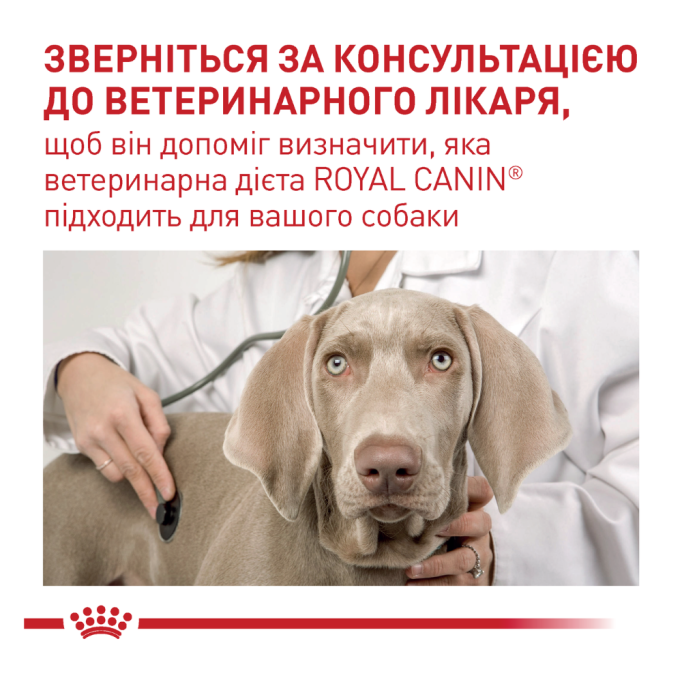 Royal Canin Neutered Adult in gravy Вологий корм для кастрованих / стерилізованих дорослих собак (в соусі) 100г 12шт