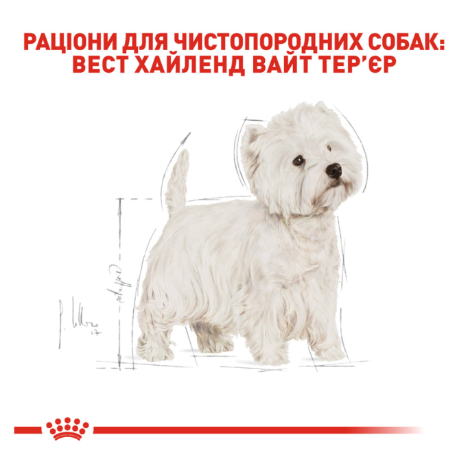 Royal Canin West Highland White Terrier Adult Сухий корм для дорослих собак порід Вест-хайленд-уайт-тер'єр 3кг