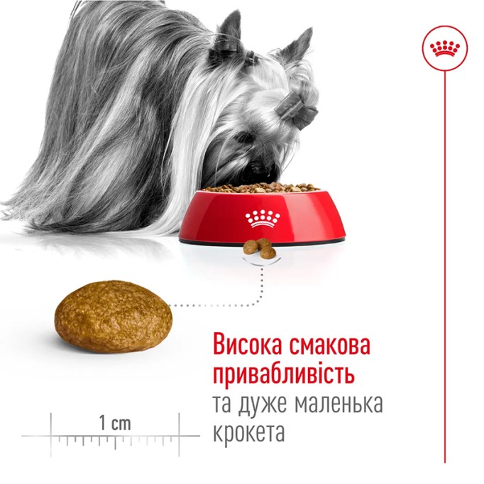 Royal Canin X-Small Adult Сухий корм для дорослих собак мініатюрних порід 500 г